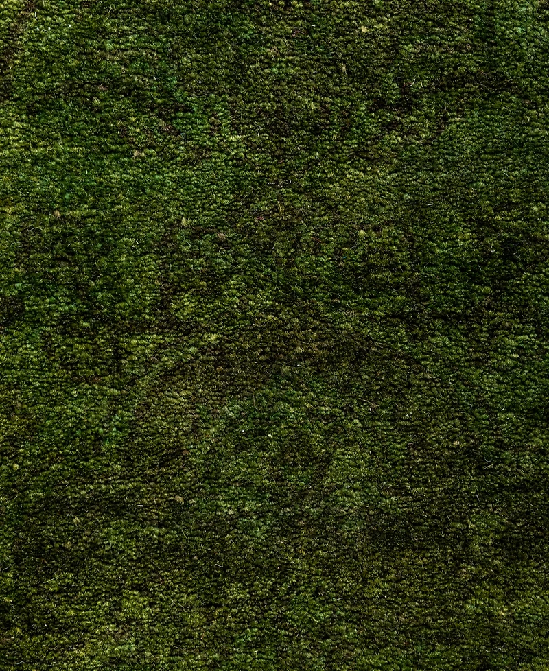Adorn Hand Woven Rugs Fine Vibrance M1437 4'2"x6' Area Rug