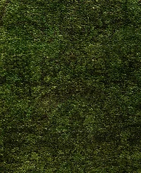 Adorn Hand Woven Rugs Fine Vibrance M1437 4'2"x6' Area Rug