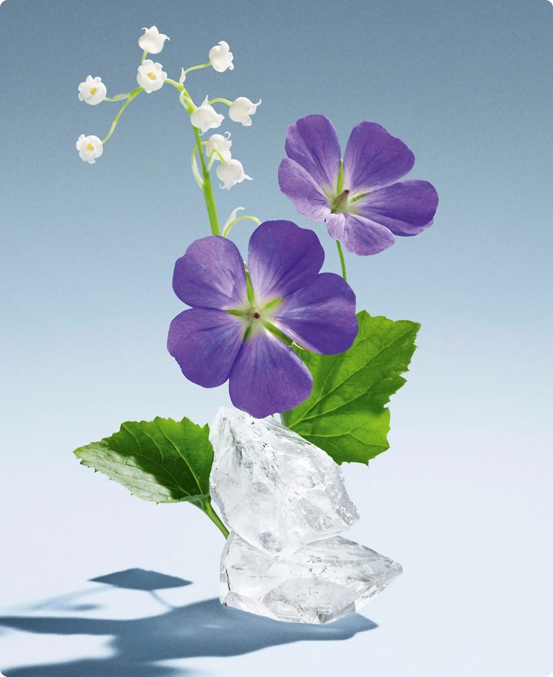 Miu Miu L'Eau Bleue Eau de Parfum
