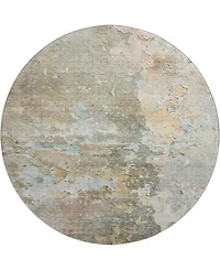 Dalyn Ravenna Washable RN3 8'x8' Round Area Rug