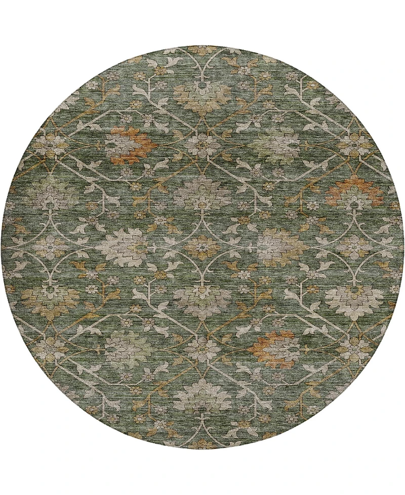 Dalyn Silk Road Washable SR1 8'x8' Round Area Rug