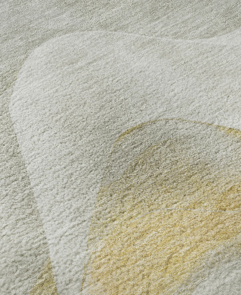 Dalyn Pacifica Washable PA3 2'6"x3'10" Area Rug