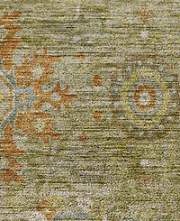 Dalyn Silk Road Washable SR9 9'x12' Area Rug
