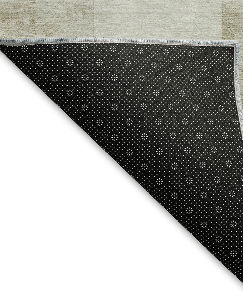 Dalyn Pacifica PA10 3'x5' Area Rug