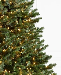 Balsam Hill 6.5' Pre-Lit Fraser Fir Ledc Artificial Christmas Tree