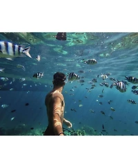 GoPro The Handler Floating Handgrip for Hero and Max Cameras