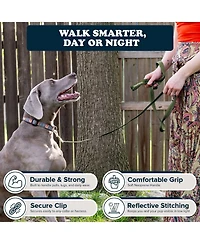 Puppington Reflective Leash