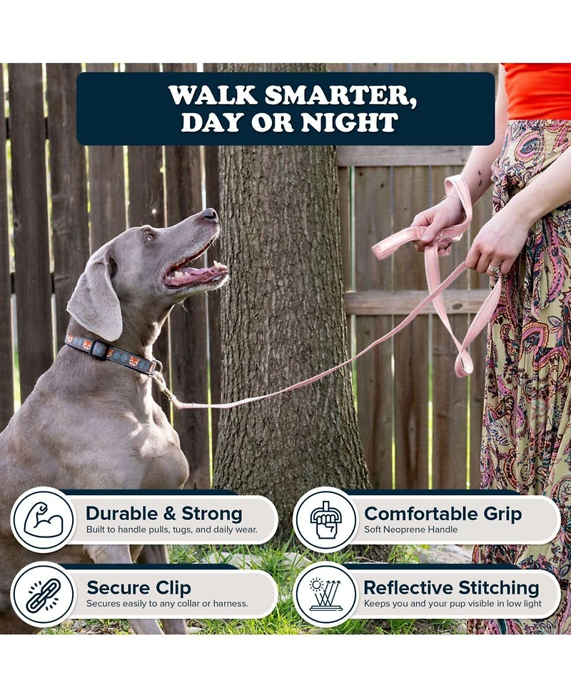 Puppington Reflective Leash