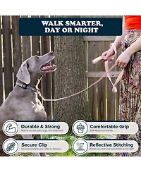 Puppington Reflective Leash