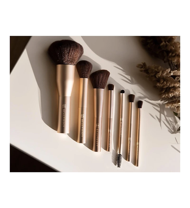 Beautifect Professional Brush Collection