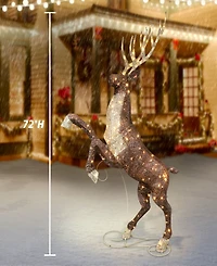 Puleo 72" Pre-Lit Outdoor Elk with Warm White Twinkling Led Lights