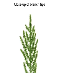Puleo 24" Soft Unlit Artificial Christmas Wreath