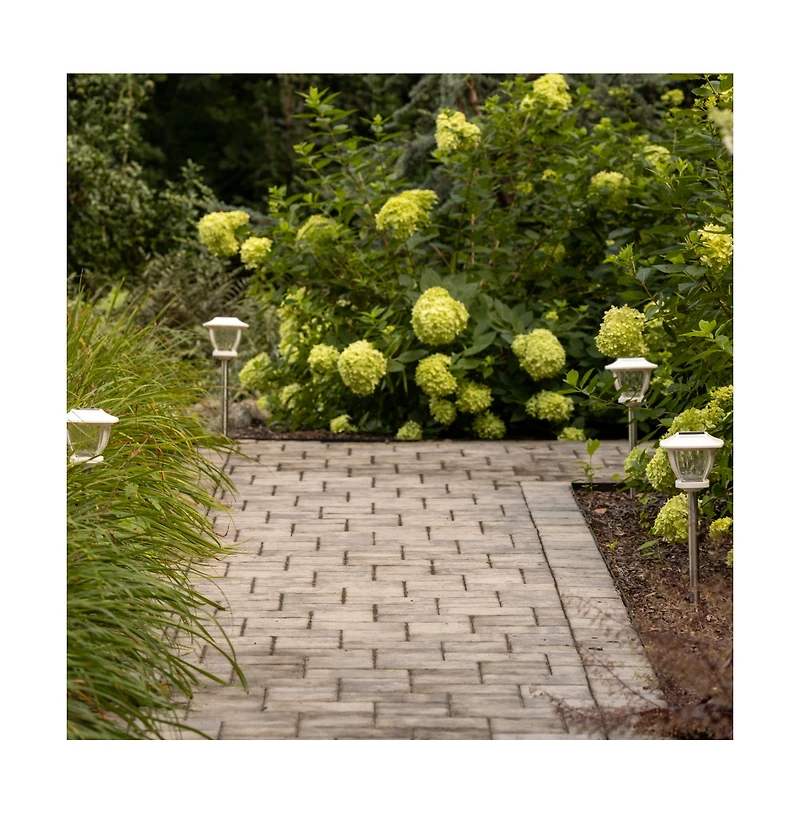 Maxsa Innovations Solar Wave Glass Style - Super Bright Path Lights 2 pack White