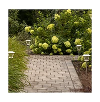 Maxsa Innovations Solar Wave Glass Style - Super Bright Path Lights 2 pack White