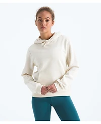 The North Face Women's Evolution Box Nse Hoodie