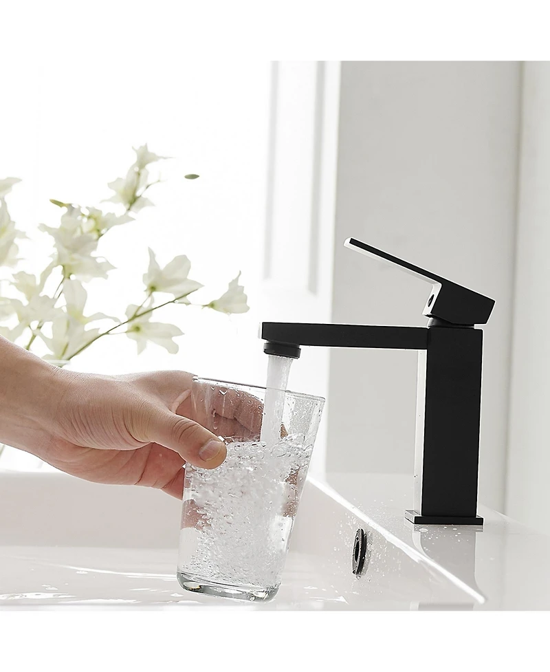 Greenspring Single Hole Single-Handle Bathroom Faucet with drain in Matte Black