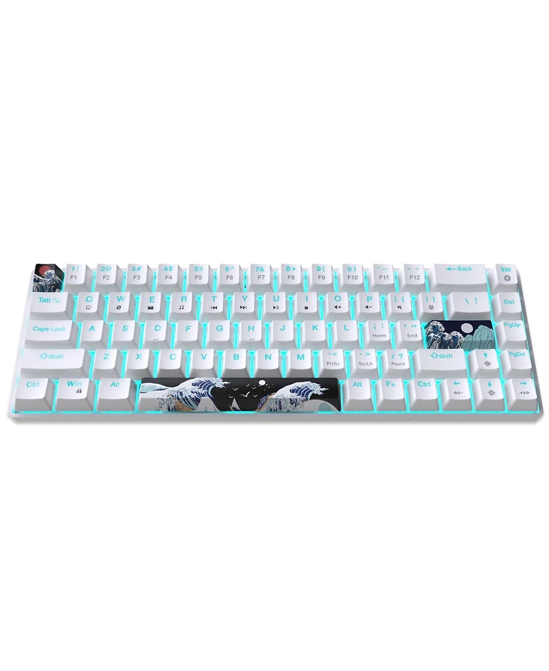 Risokeys 60% Mechanical Gaming Keyboard,61 Keys with Linear Blue Switches,Wired Mechanical Keyboard with Led Backlit,Compact Ergonomic Keyboard