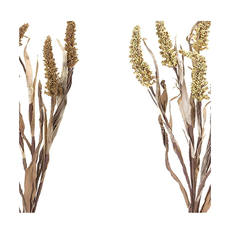 Amaranthus Bush - Lifelike Foliage for Seasonal Decor (Set of 2)