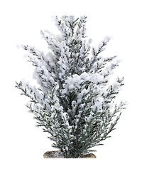 Premium Potted Snowy Pine Tree Set (Set of 6) - Authentic-Looking 12" Artificial Trees for Seasonal and Holiday Delights