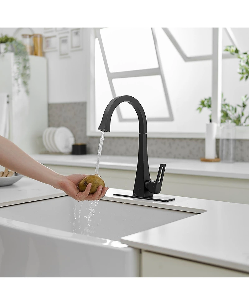 Single Handle Standard Kitchen Sink Faucet in Matte Black