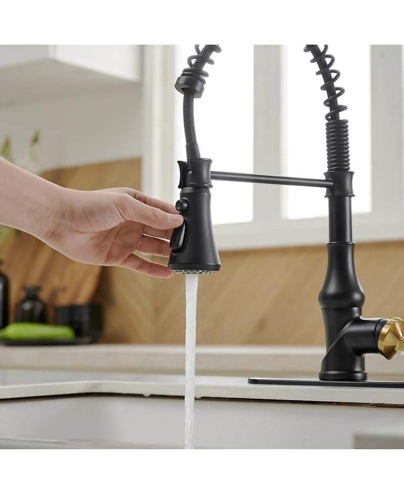 Greenspring Single-Handle Pull-Down Sprayer 3 Spray High Arc Kitchen Faucet With Deck Plate in Matte Black & Gold