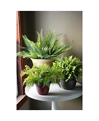 Listo Hc Companies 13-Inch Wide Sierra Planter Round Plastic Planter