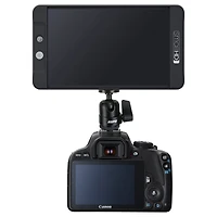 Kupo Midi Ball Head with Hot Shoe Mount