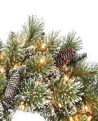 Puleo International 24 inch Prelit Premium Decorated wreath with 50 Clear Incandescent Lights