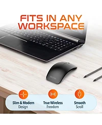 Delton S10 Curved Ergonomic Wireless Mouse, 2.4GHz Usb Mouse (DMERGS10-wb)