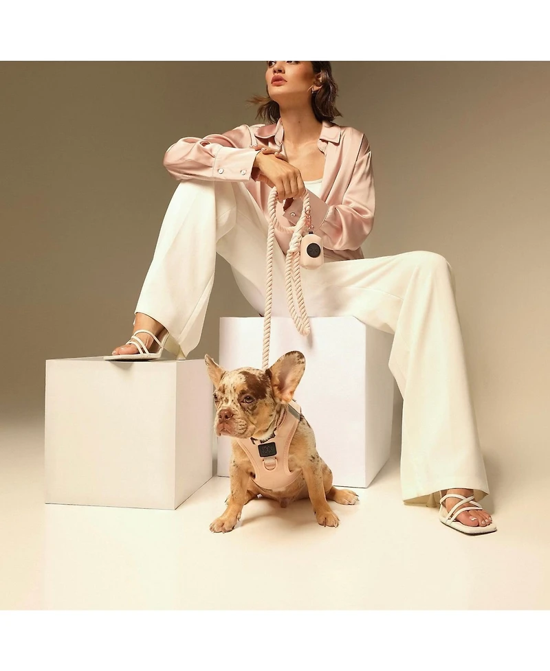 Dogistry SoHo Dog Harness