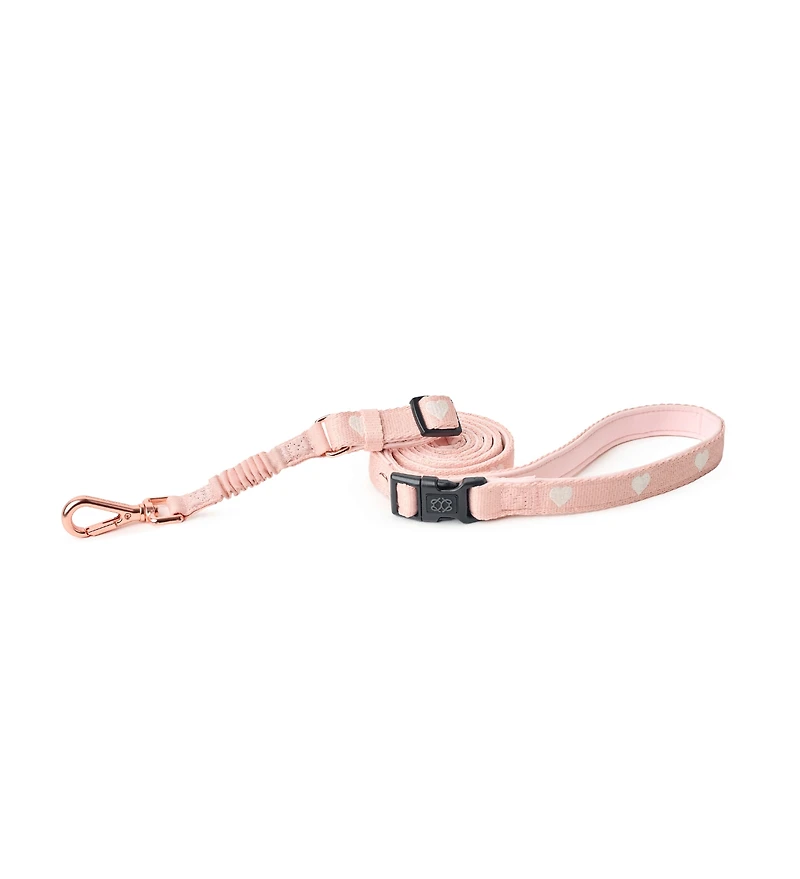 Dogistry 3-in-1 City Dog Leash