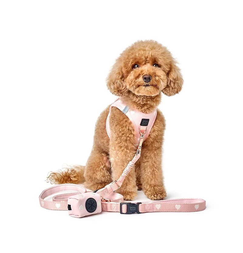 Dogistry Poop Bag Holder - Sweetheart