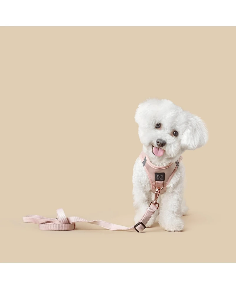 Dogistry SoHo Dog Harness