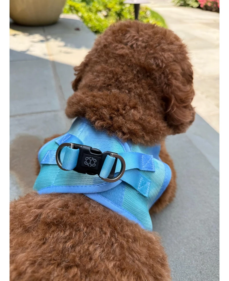 Dogistry The Air Harness - Ocean