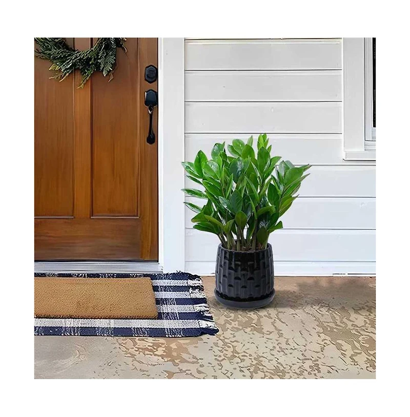 Chic Crate Set of 2 Modern Ceramic Planters
