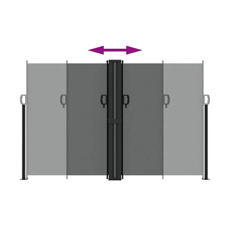 vidaXL Retractable Side Awning Anthracite