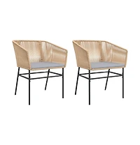 vidaXL Garden Chair Brown Pe Rattan, Powder-Coated Steel Standard