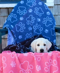 Delilah Home Drytek High Performance Dog Bath Towel 30" X 54"