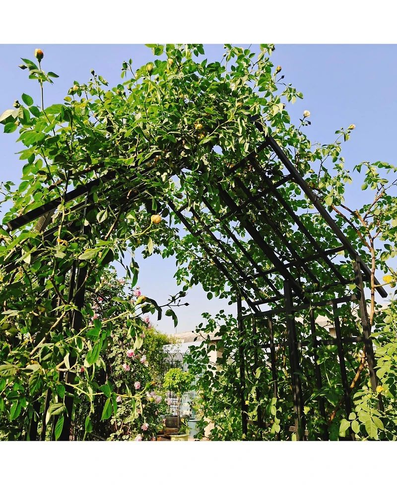 Streamdale Furniture Metal Garden Arch Adjustable Width Black
