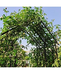 Streamdale Furniture Metal Garden Arch Adjustable Width Black