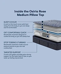 Serta Perfect Sleeper Osiria Rose 14" Medium Pillow Top Mattress, Queen