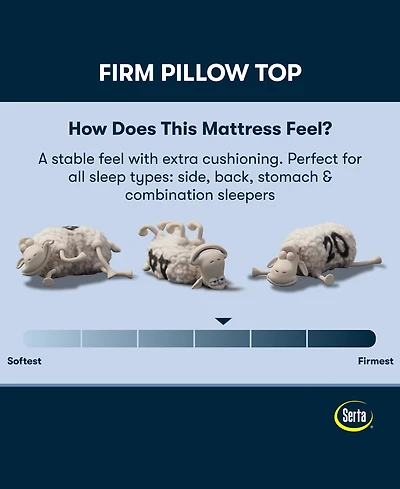 Serta Perfect Sleeper Osiria Rose 14" Firm Pillow Top Mattress Set, Twin Xl