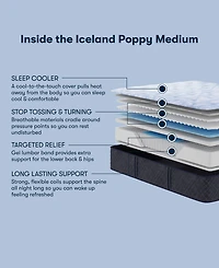 Serta Perfect Sleeper Iceland Poppy 13.5" Medium Tight Top Mattress Set, Twin Xl
