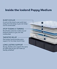Serta Perfect Sleeper Iceland Poppy 13.5" Medium Tight Top Mattress Set, Queen Split