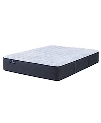 Serta Perfect Sleeper Iceland Poppy 14" Plush Pillow Top Mattress Set, Twin Xl