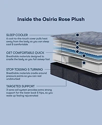 Serta Perfect Sleeper Osiria Rose 13" Plush Tight Top Mattress Set