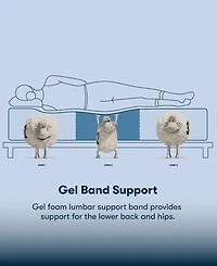 Serta Perfect Sleeper Cobra Lily 10.5" Plush Tight Top Mattress Set, Full