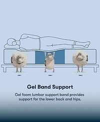 Serta Perfect Sleeper Cobra Lily 11" Plush Euro Top Mattress Set, Queen