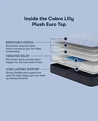 Serta Perfect Sleeper Cobra Lily 11" Plush Euro Top Mattress Set, Twin Xl