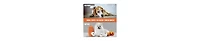 Nocciola 4 Packs Dog Toys, Spooky Pumpkin Burrow with 3 Squeaky Skulls,Hide and Seek Dog Toys